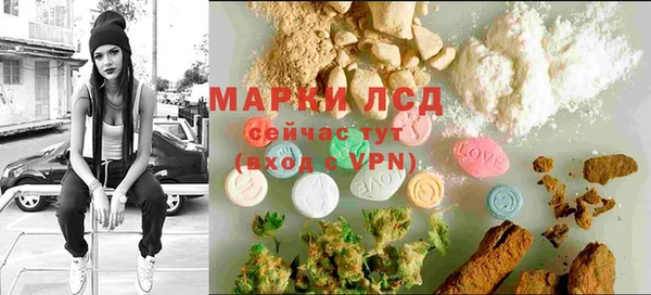 мдпв Богородицк